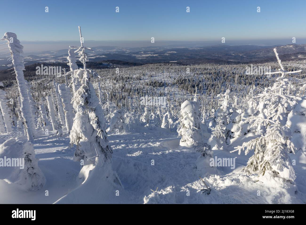 Winterwanderweg-Panorama mit viel Schnee zum Lusengipfel bei Neuschoenau, Nationalpark Bayerischer Wald Stockfoto