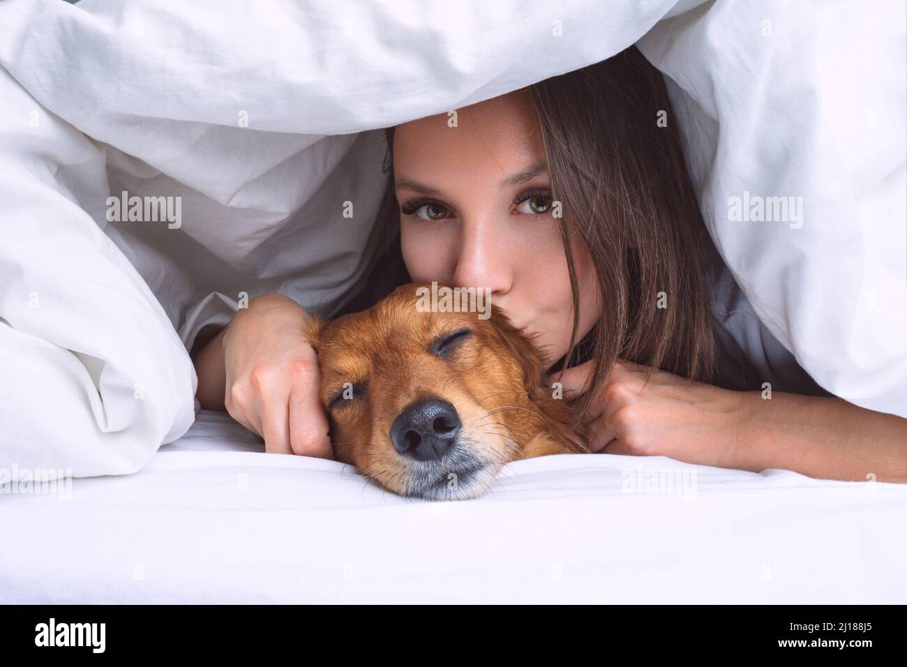 nassfutter hundefutter Nassfutter WildForest 