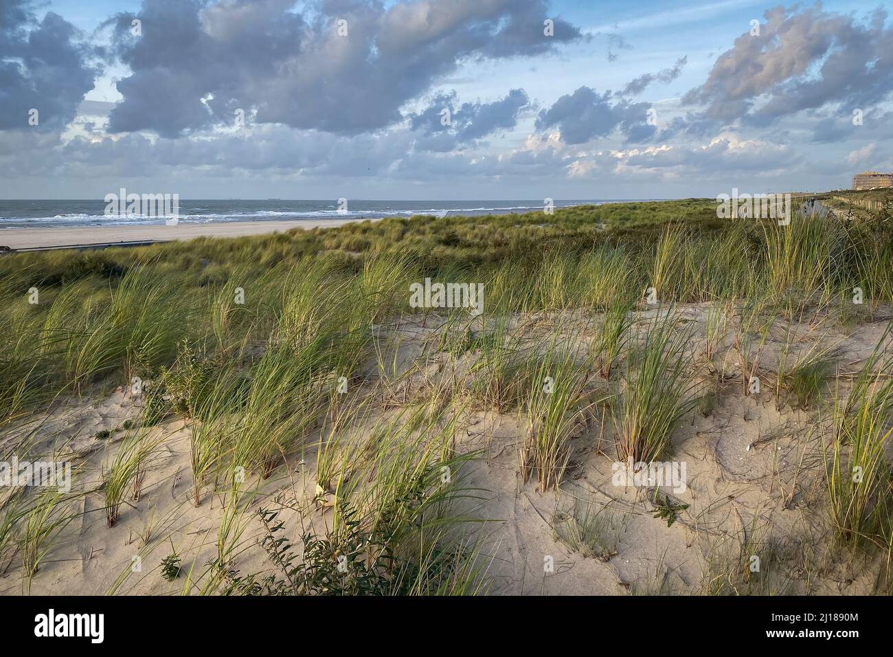 Landschaftlich schöner Blick auf den Nordseestrand und die Dünen in Kijkduin, Niederlande gegen bewölkten Himmel Stockfoto