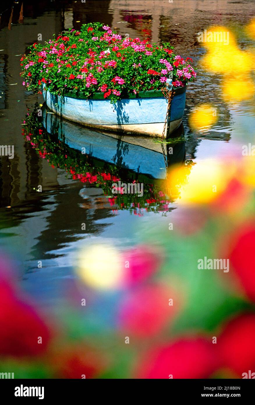 Blumenboot, auf dem Fluss, Hortensien, Stockfoto