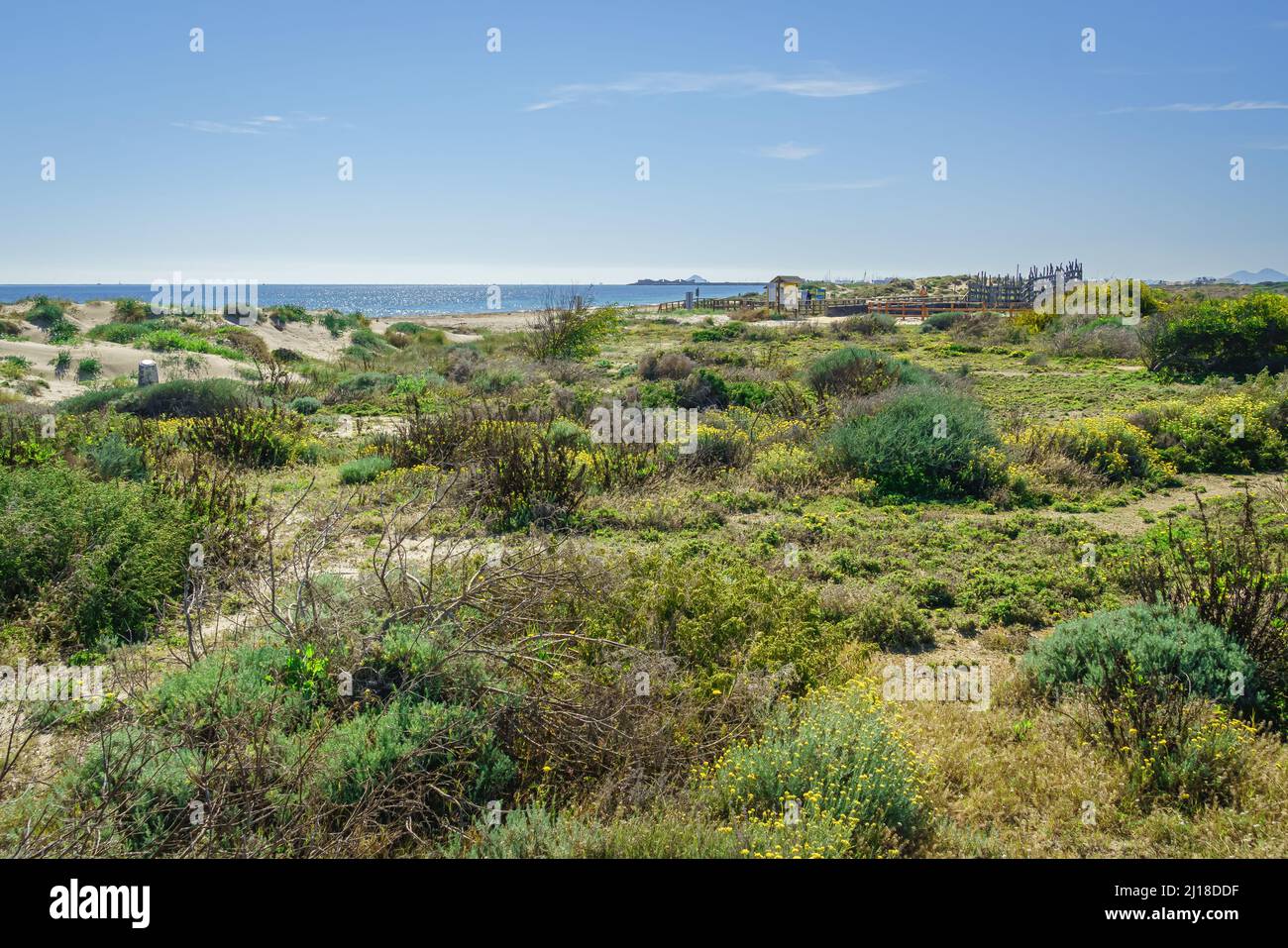 Regionaler Park der Salinen und Sandbänke des Mar Menor. Murcia. Spanien. Stockfoto