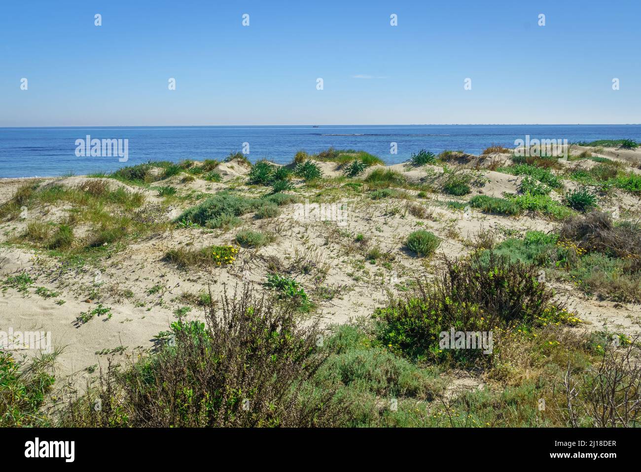 Regionaler Park der Salinen und Sandbänke des Mar Menor. Murcia. Spanien. Stockfoto