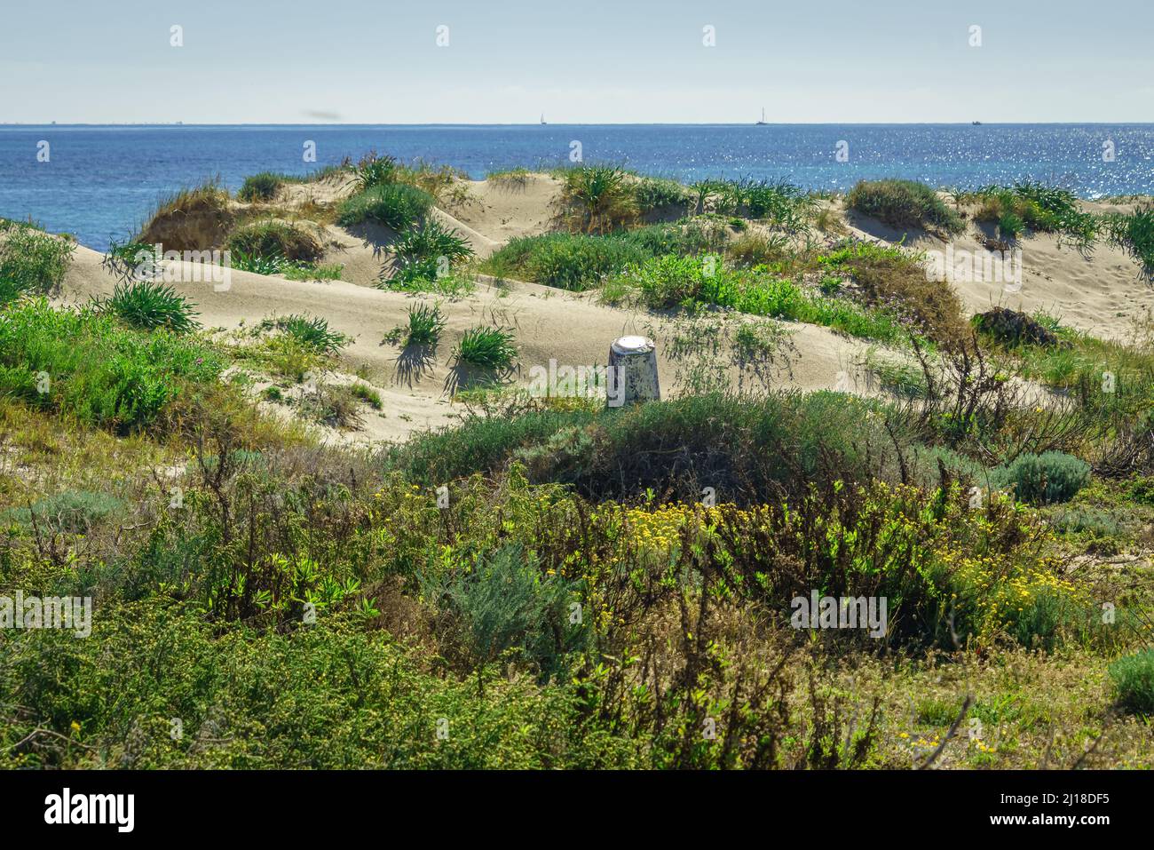 Regionaler Park der Salinen und Sandbänke des Mar Menor. Murcia. Spanien. Stockfoto