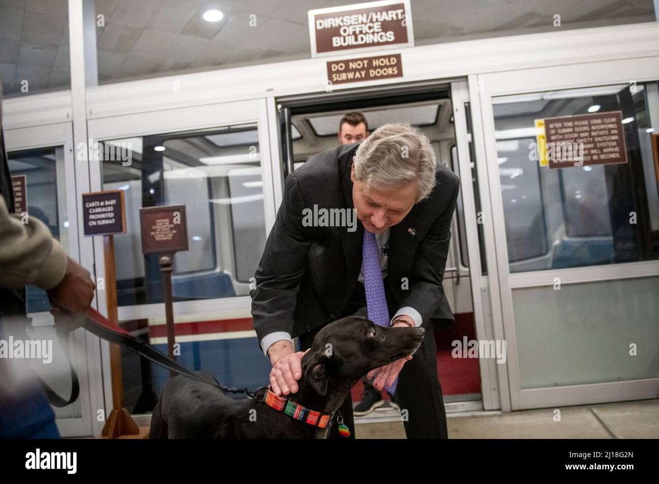 Washington, Vereinigte Staaten Von Amerika. 23. März 2022. Der US-Senator John Neely Kennedy (Republikaner von Louisiana) stottert einen Hund, bevor er am Mittwoch, den 23. März 2022, bei einer Abstimmung in Washington, DC, einen Zug in der Senatsunterbahn des US-Kapitols nimmt. Quelle: Rod Lampey/CNP/Sipa USA Quelle: SIPA USA/Alamy Live News Stockfoto