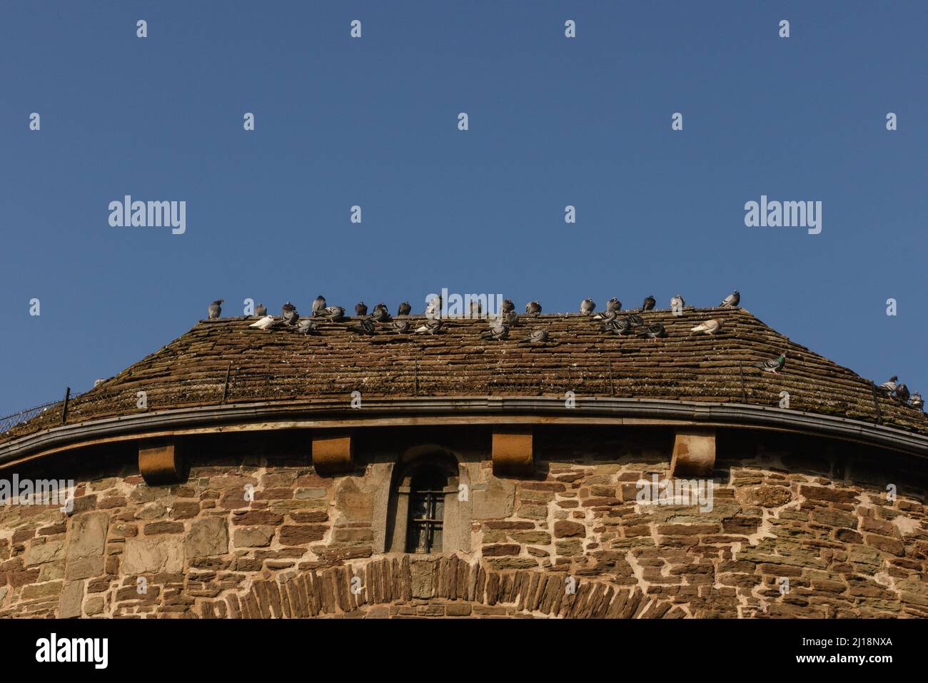 Vögel ruhen auf dem Dach der Monmouth Bridge Befestigungsanlagen. Stockfoto