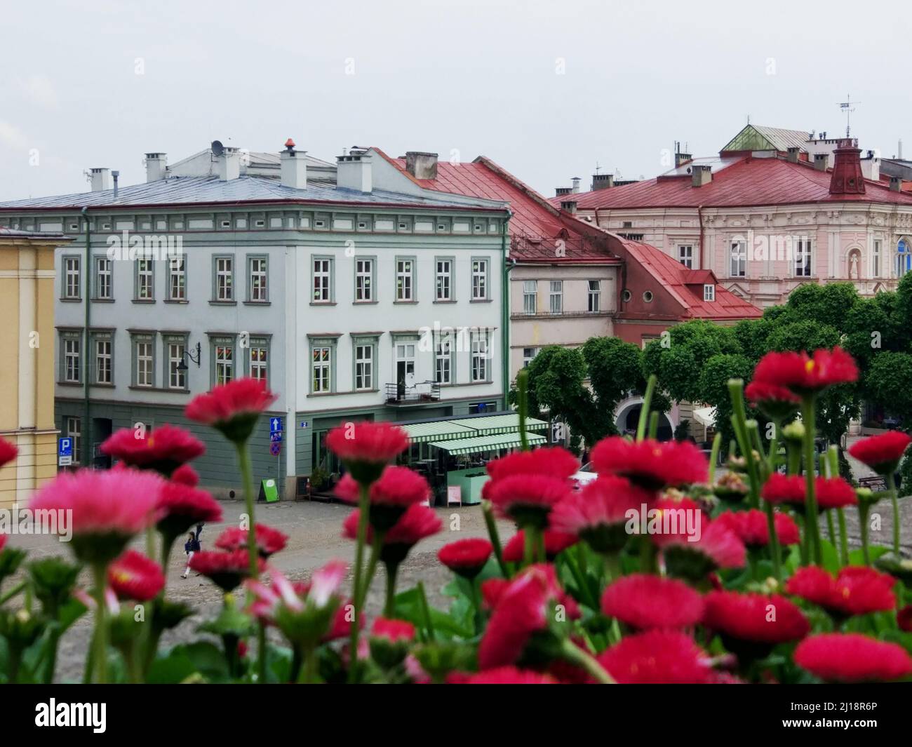 Altstadt von Przemysl am Morgen. Polen Stockfoto