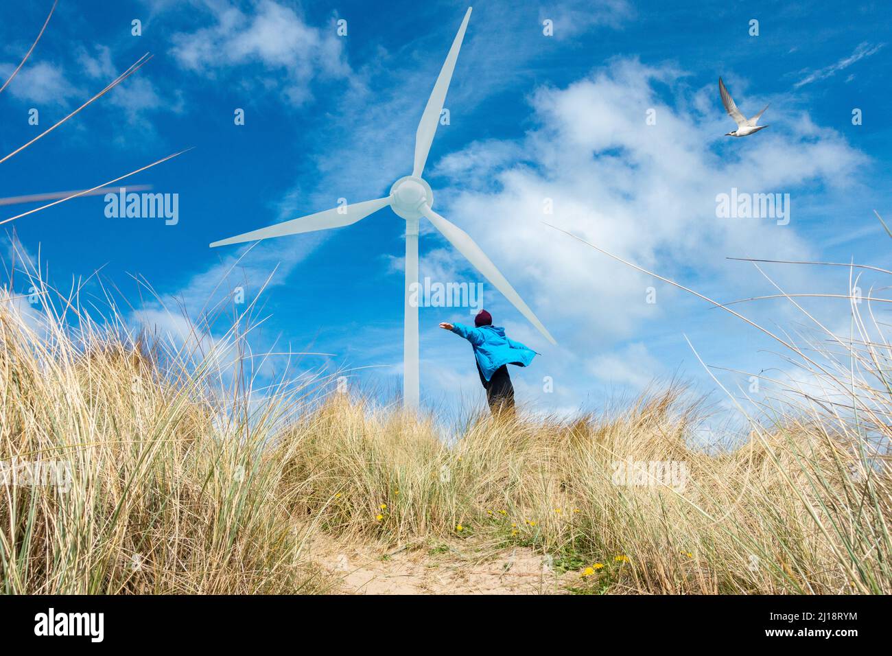 Mann mit ausgestreckten Armen auf Sanddünen unter der Windturbine. Saubere, erneuerbare Energie, Offshore-Windpark, globale Erwärmung... Konzept Stockfoto