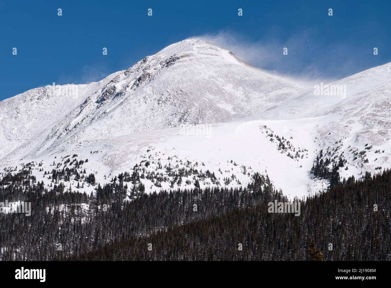 Mitte des Winters auf dem Parry Peak 13.391Foot in North Central Colorado. Die Gipfel befinden sich an der Kontinentalscheide, vom Highway 40 auf dem Berthoud Pass aus gesehen. Stockfoto