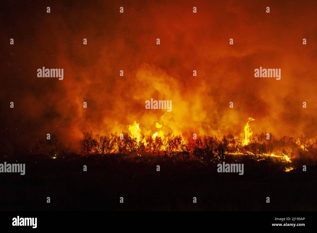 Das riesige Waldfeuer, das nachts auf der Wiese brennende Waldbäume brannte Stockfoto