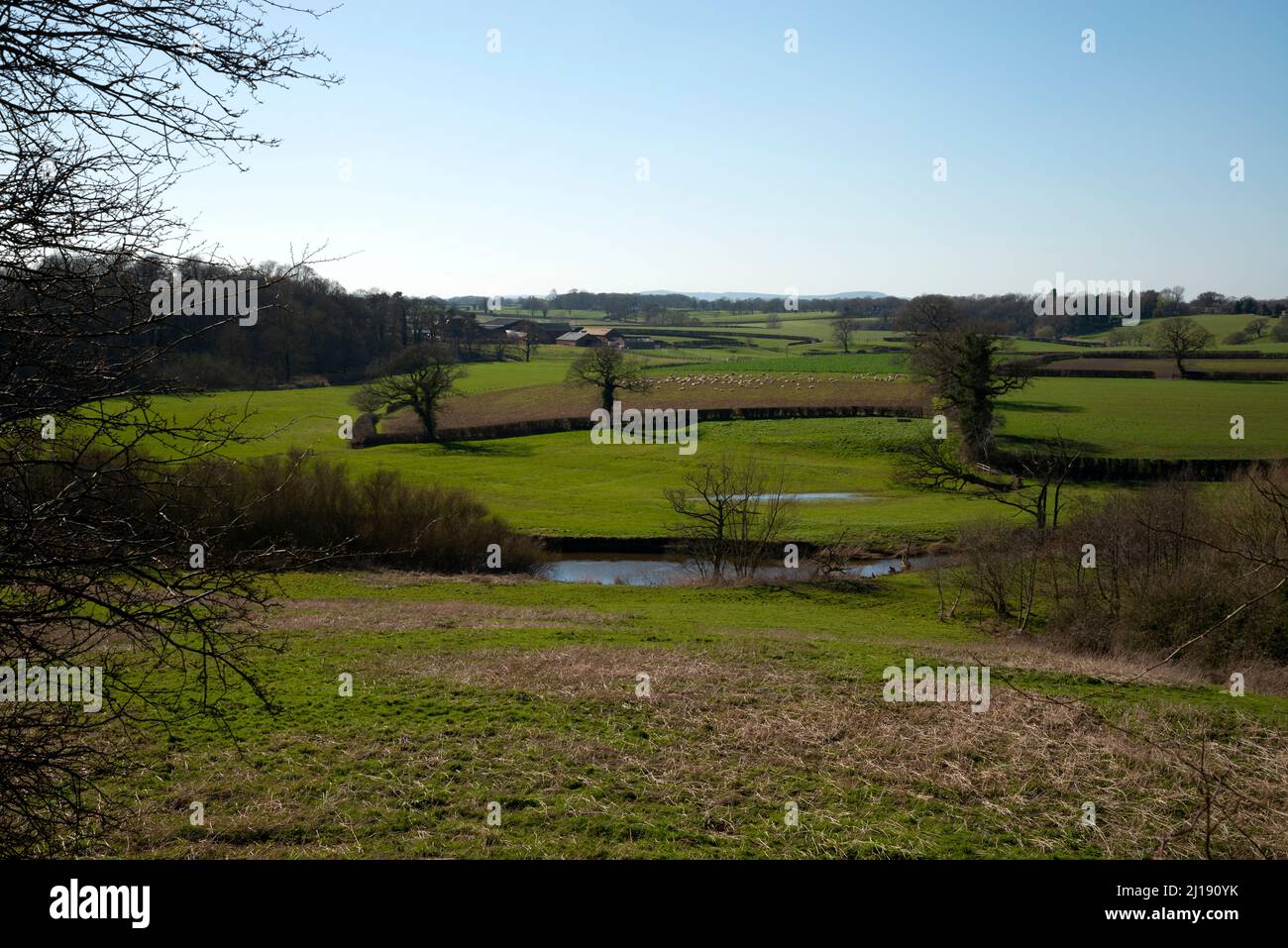 Blick auf das Cheshire-Dorf Church Minshull vom Middlewich-Zweig des Shropshire Union-Kanals, NW UK Stockfoto