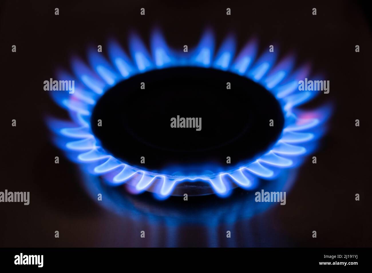 Eine blaue Flamme auf einem Gaskocher in England. Thema: Energiepreisgrenze, steigende Energiekosten, Gasversorgung, Gaslieferungen, russisches Gas, Hohe Inflation Stockfoto
