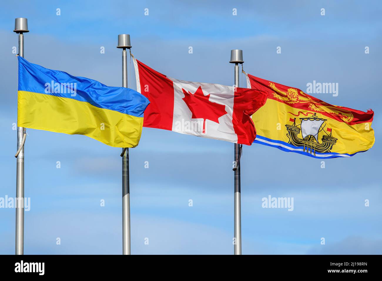 Ukrainian, Canadian, and New Brunswick flags fly in a row. Many Canadians are flying Ukraine flags in support of Ukraine during the Russian invasion. Stockfoto