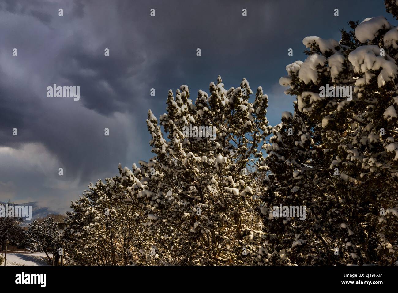 Bäume und Berge unter einem dunklen und vorhersehenden Himmel Stockfoto