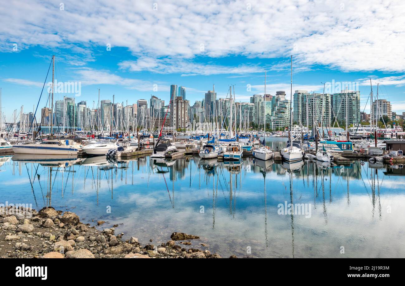 Hafen mit Segelbooten, zurück Zentrum mit Wolkenkratzern, Coal Harbour, Vancouver, British Columbia, Kanada Stockfoto