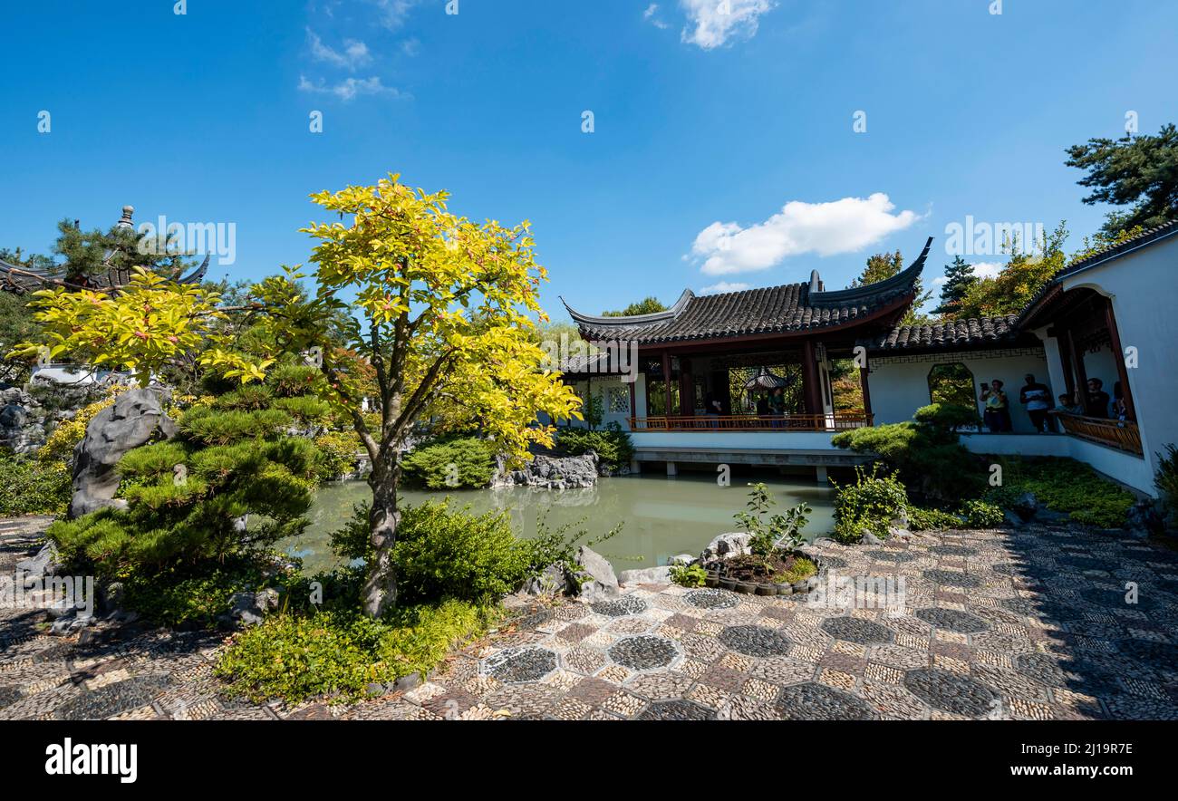 Garten mit Teich, traditionelle chinesische Pagode im Dr. Sun Yat-Sen Classical Chinese Garden, V, Vancouver, British Columbia, Kanada Stockfoto