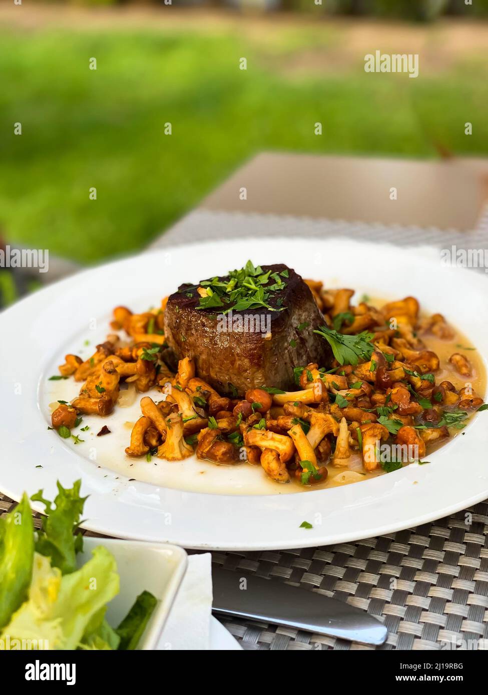 Filetsteak mit Pfifferlingen und Petersilie Stockfoto