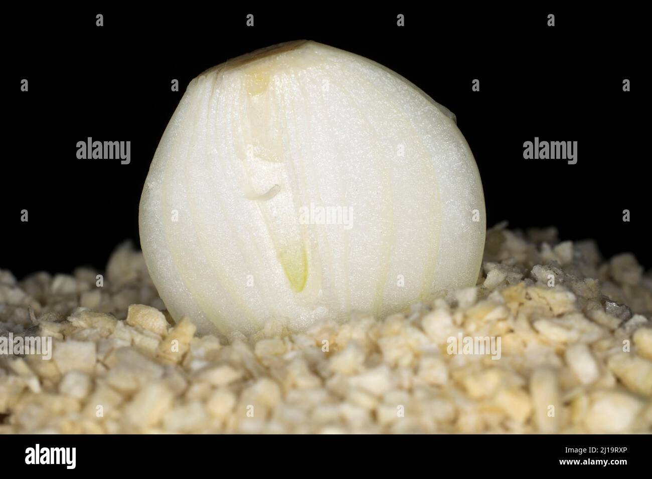 Halbierte frische Zwiebel auf gefriergetrockneten Zwiebelflocken liegend, Studiofotografie mit schwarzem Hintergrund Stockfoto