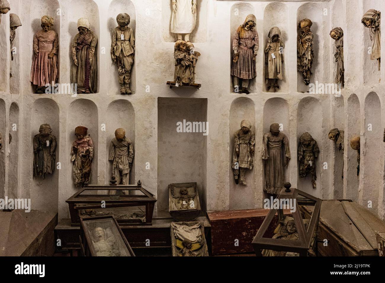 Mumien von Kindern in den Kapuzinerkatakomben, Palermo, Kapuzinerkrypta, Sizilien, Italien Stockfoto