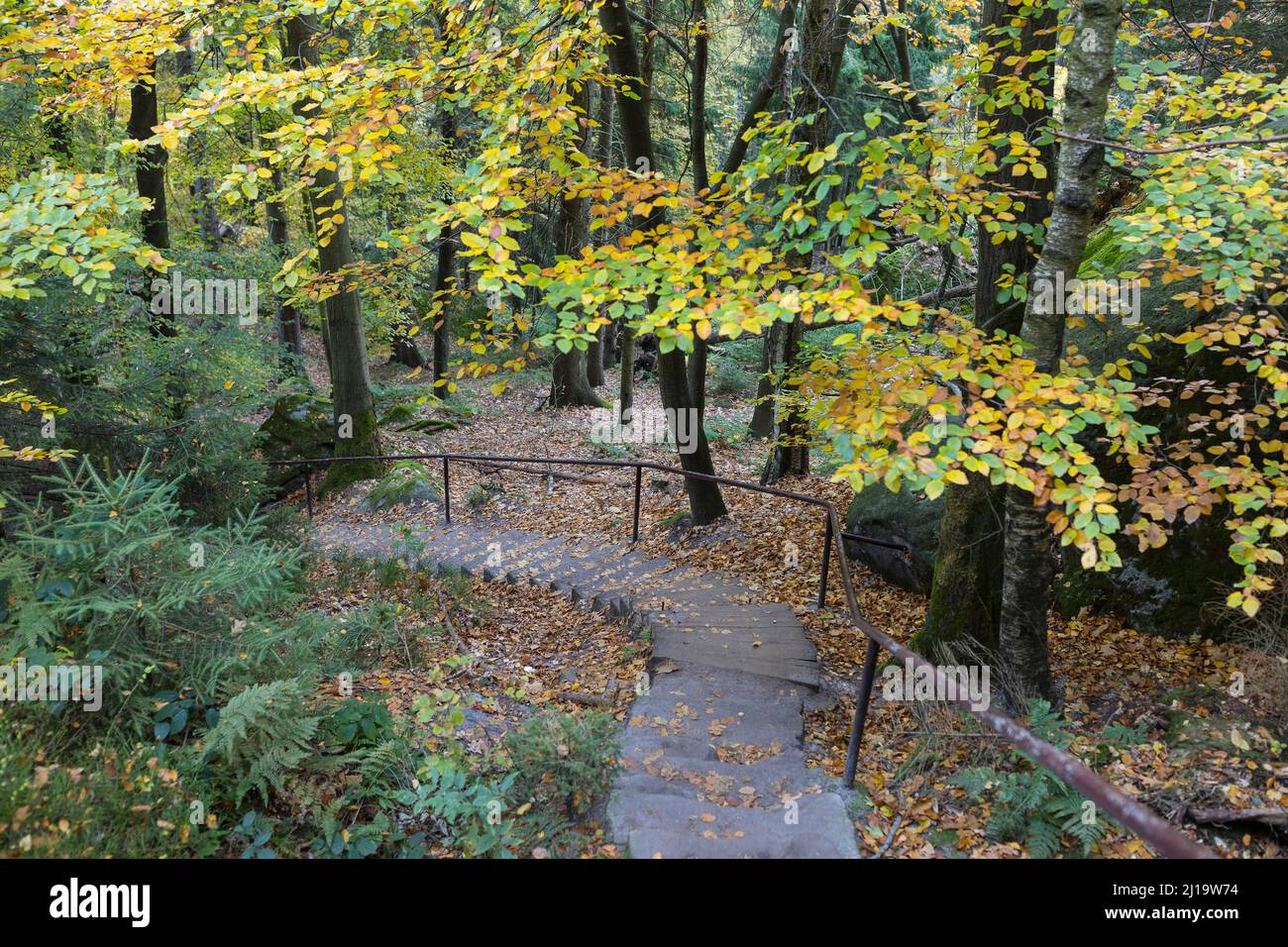 Lange Treppe, Abfahrt vom Pfaffenstein, Nationalpark Sächsische Schweiz, Sachsen, Deutschland Stockfoto