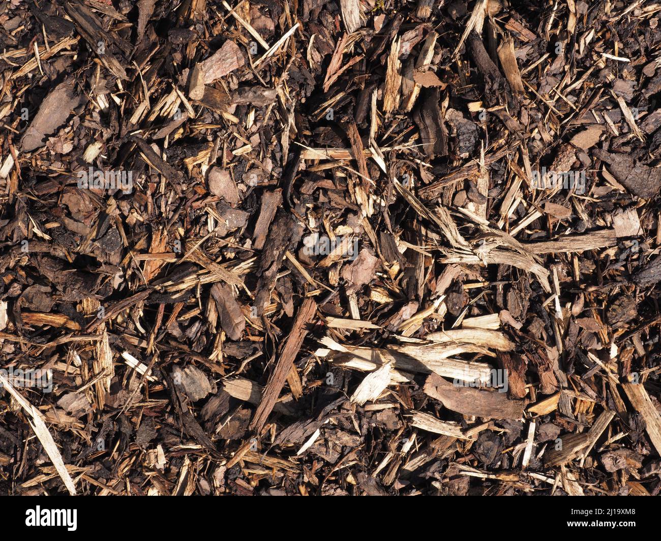 Textur der Rinde Mulch mit als natürlichen Hintergrund, Bodenbeschaffenheit, Bodenverbesserung, Gartenarbeit, Frühling Stockfoto