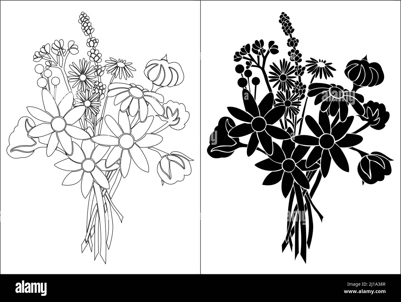 Abstraktes florales Design mit Linienkunst und Silhouette isoliert auf weißem Hintergrund - Vektor-Illustration Stock Vektor