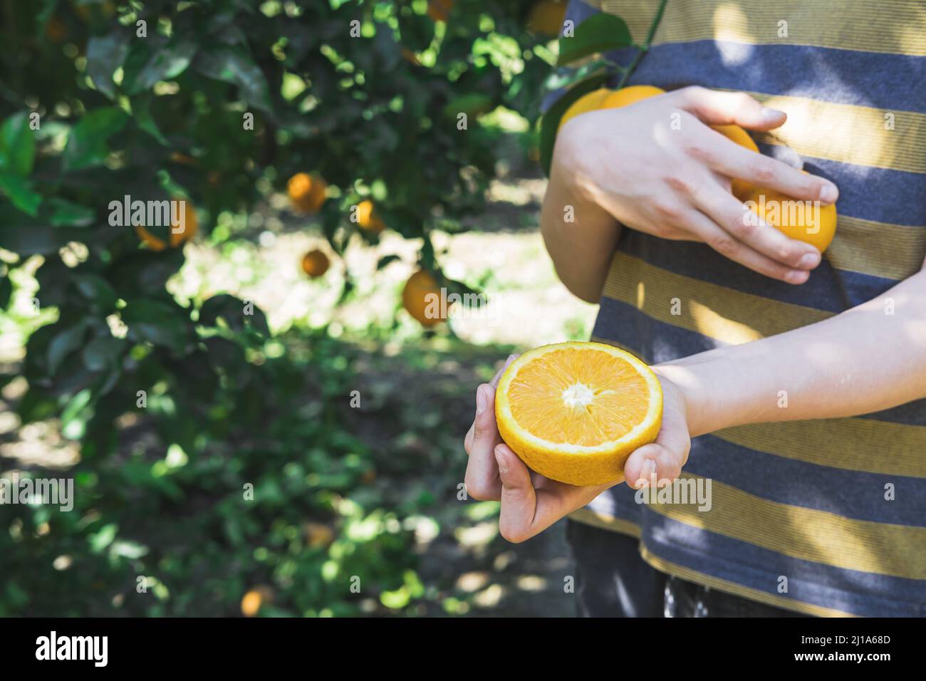 Der Junge hält eine halbe saftige Orange in den Händen. Stockfoto