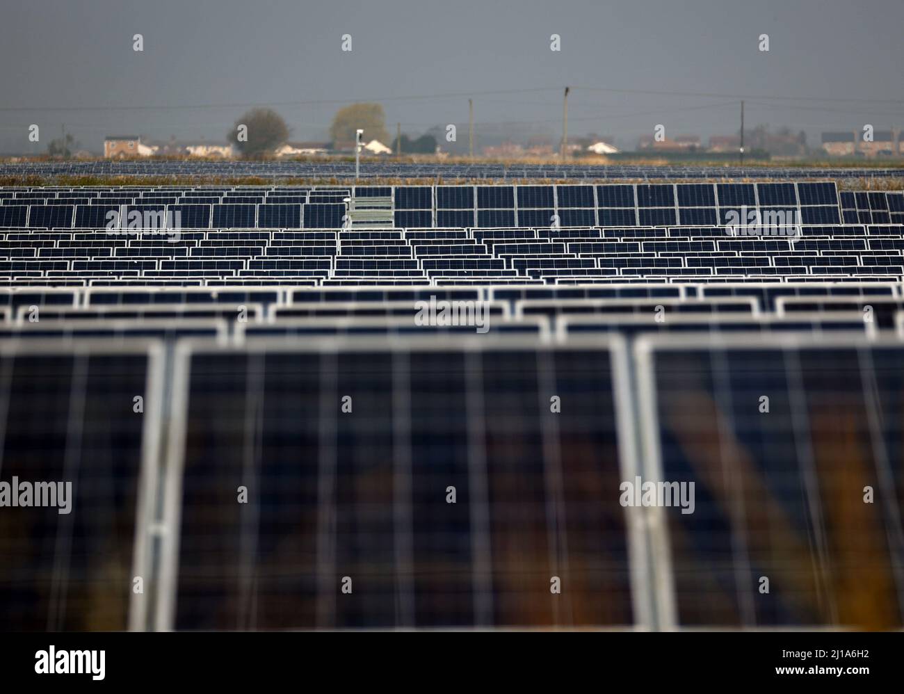 Turves, Großbritannien. 23. März 2022. Die Sonne scheint auf den Solarzellen auf diesem Solarpark in der Nähe von Turves, Cambridgeshire, Großbritannien, die Energie für Energieunternehmen bereitstellen. Kredit: Paul Marriott/Alamy Live Nachrichten Stockfoto