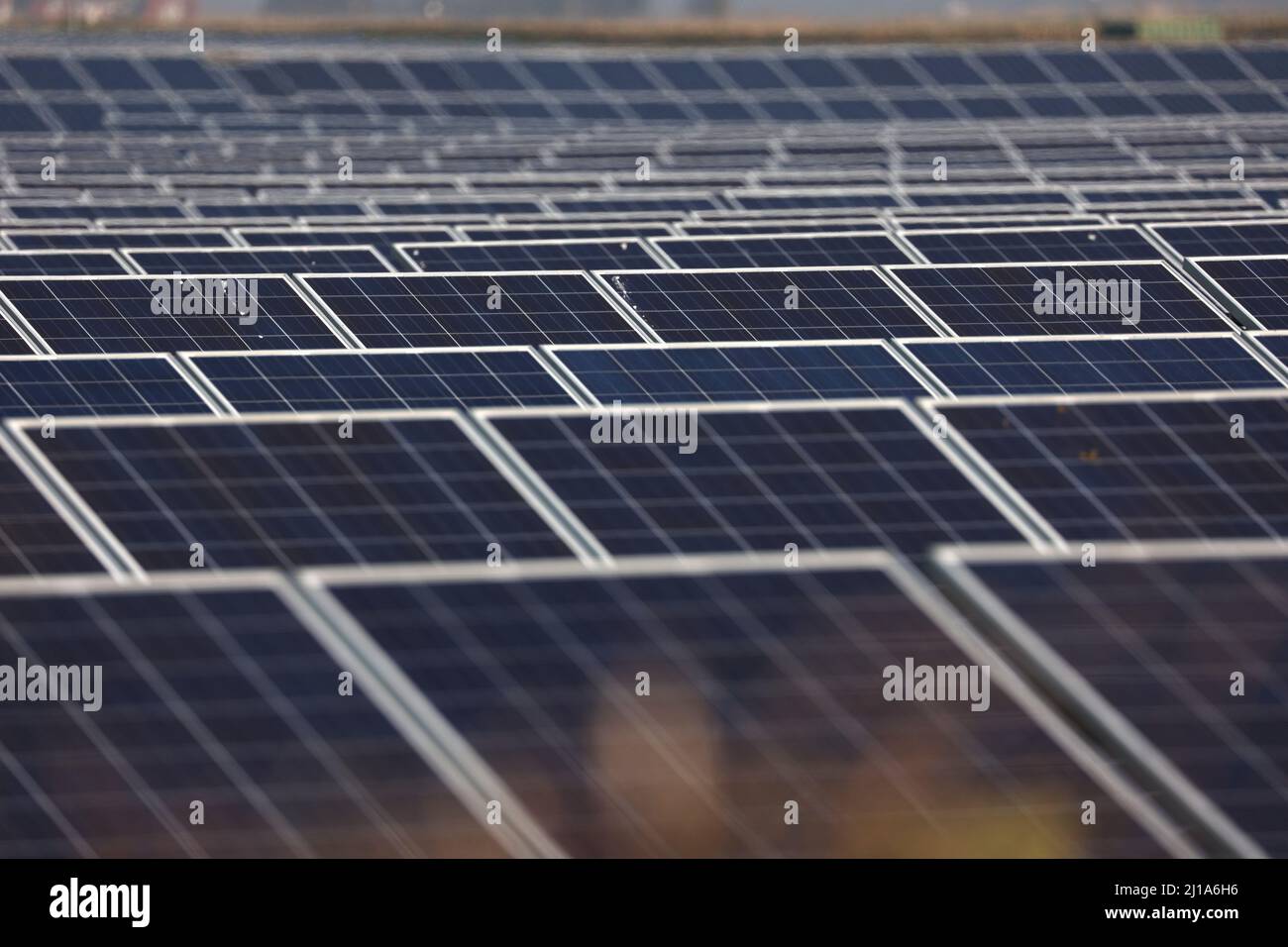 Turves, Großbritannien. 23. März 2022. Die Sonne scheint auf den Solarzellen auf diesem Solarpark in der Nähe von Turves, Cambridgeshire, Großbritannien, die Energie für Energieunternehmen bereitstellen. Kredit: Paul Marriott/Alamy Live Nachrichten Stockfoto