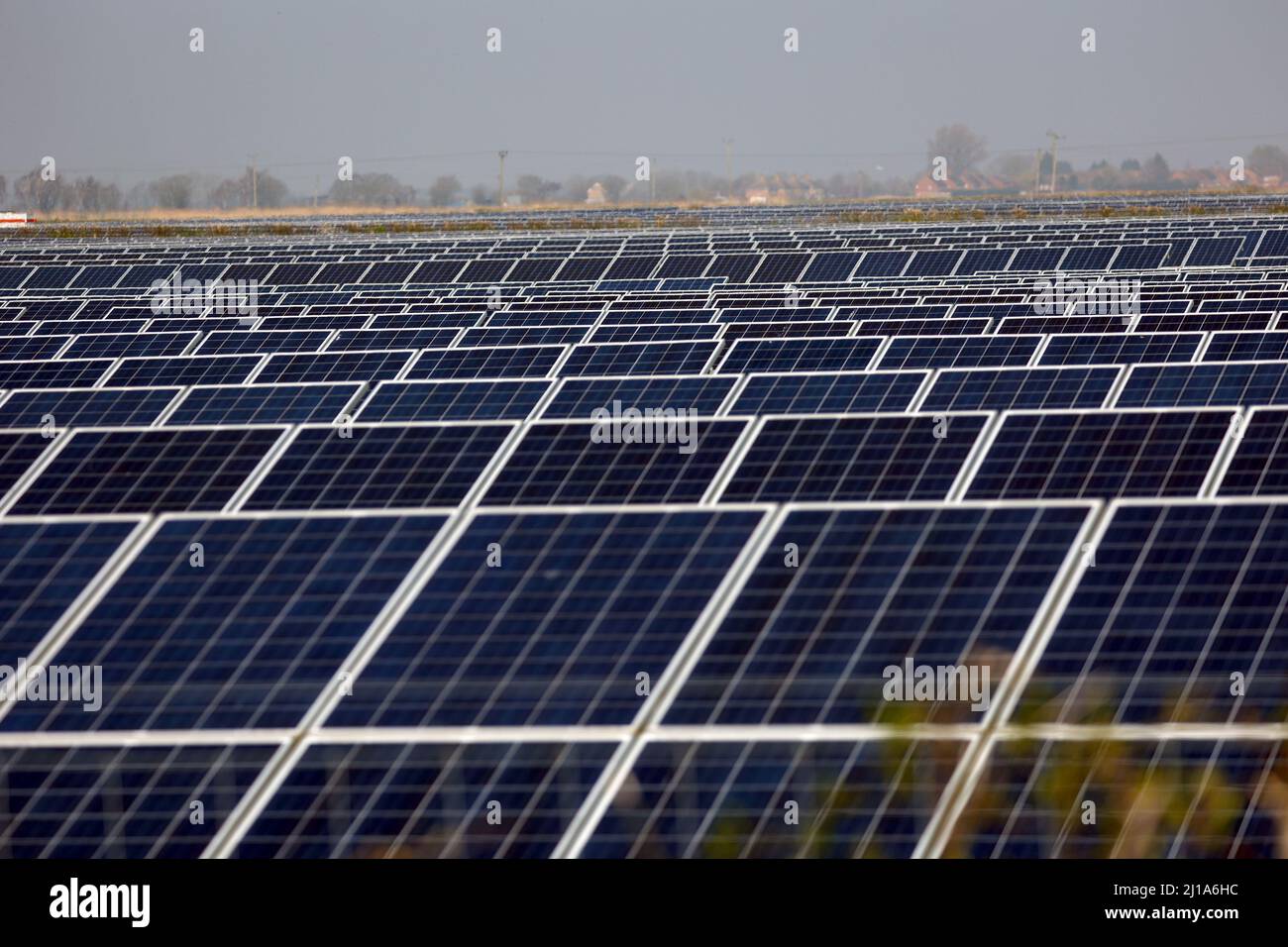 Turves, Großbritannien. 23. März 2022. Die Sonne scheint auf den Solarzellen auf diesem Solarpark in der Nähe von Turves, Cambridgeshire, Großbritannien, die Energie für Energieunternehmen bereitstellen. Kredit: Paul Marriott/Alamy Live Nachrichten Stockfoto