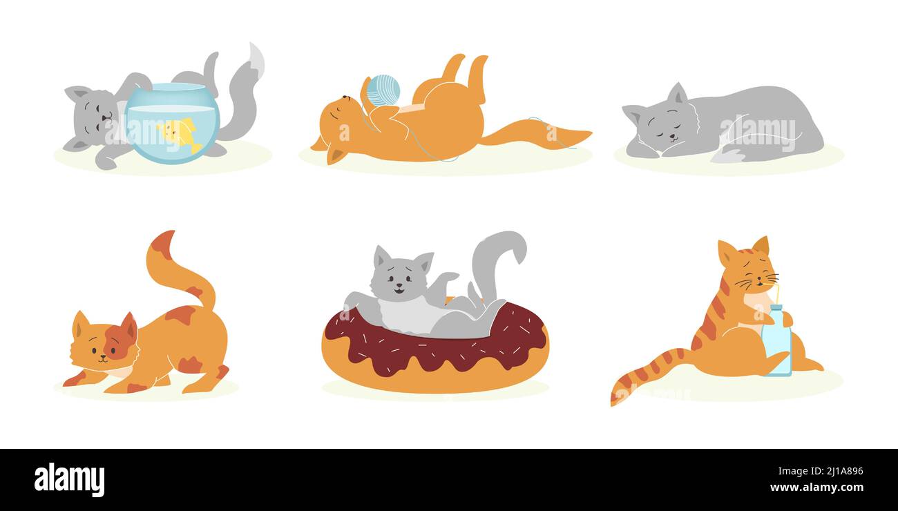 Verspieltes graues und orangefarbenes Katzenset. Lustige Haustiere, süße flauschige Kätzchen spielen, schlafen, essen. Vektor-Illustration für Haustiere, Katze PET Konz Stock Vektor