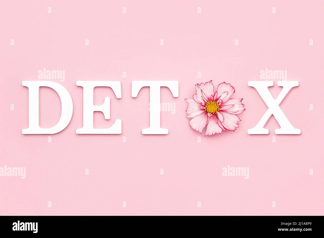 Körper Entgiftung und gesunde Ernährung Konzept. Natürliche zarte Blume in Wort DETOX aus weißen Buchstaben auf rosa Hintergrund. Creative Flat Lay Draufsicht. Stockfoto