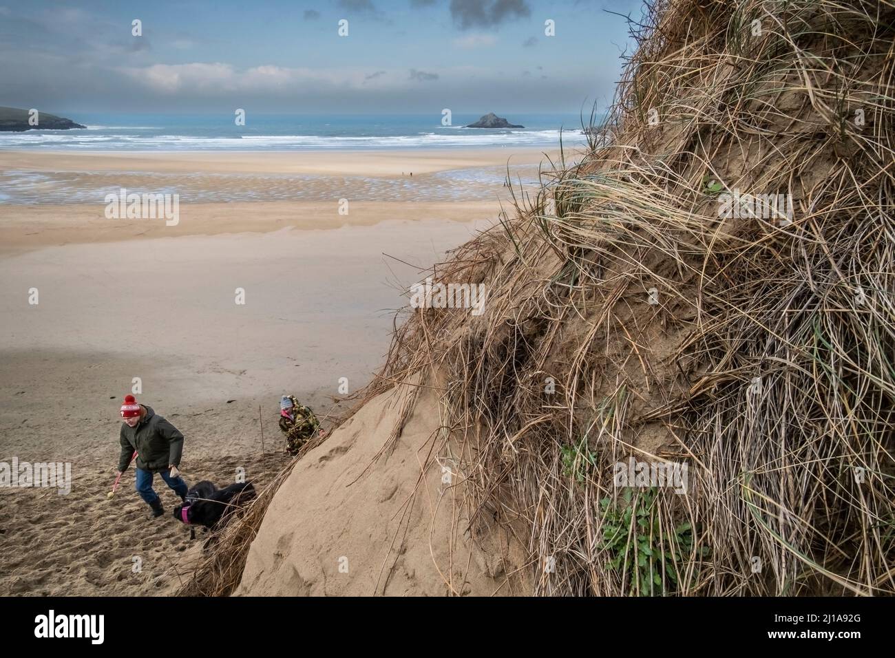 Schäden, die durch menschliche Aktivität am empfindlichen Sanddünensystem am Crantock Beach in Newquay in Cornwall verursacht werden. Stockfoto