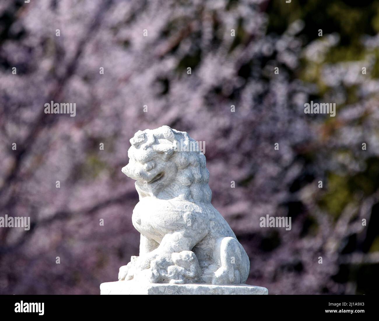 Peking, Peking, China. 24. März 2022. Am 24. März 2022, im Frühjahr des März, blüht auf der Ostseite der Nanhu-Insel im Sommerpalast in Peking der Pfirsich in voller Blüte und die Brücke mit 17 Bogen ergänzt sich gegenseitig. (Bild: © SIPA Asia via ZUMA Press Wire) Stockfoto