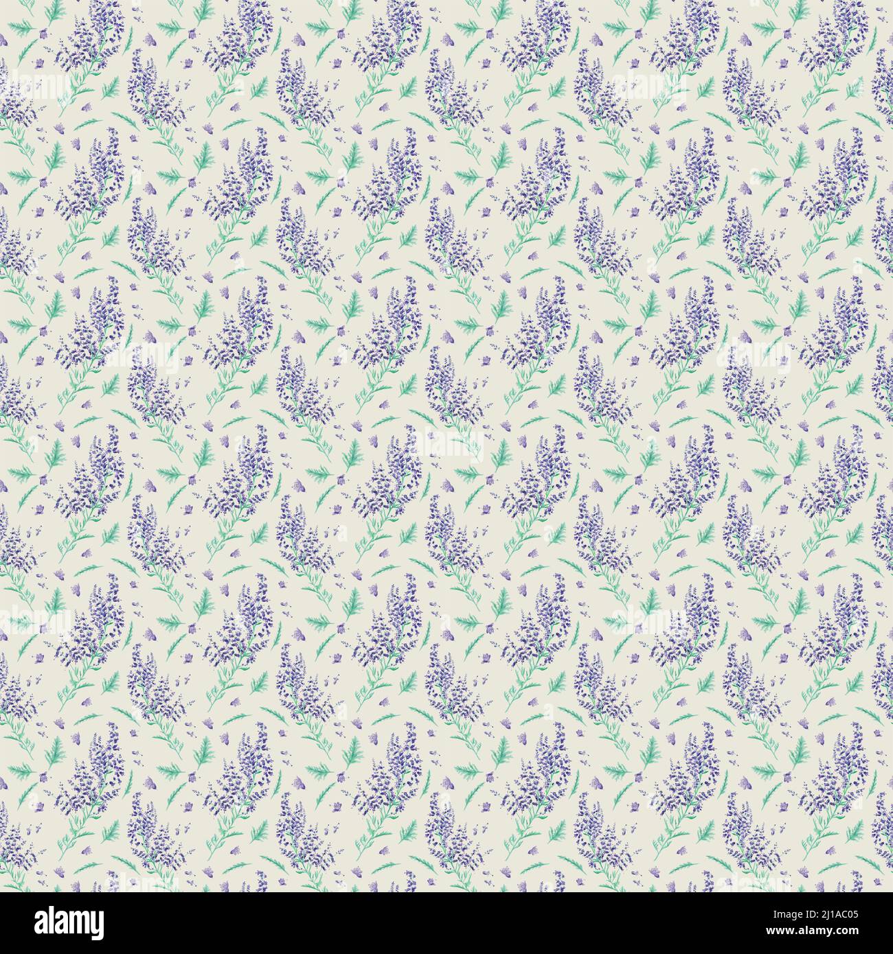 Hintergrund mit Lavendelblüten und Blätter für design Stockfoto