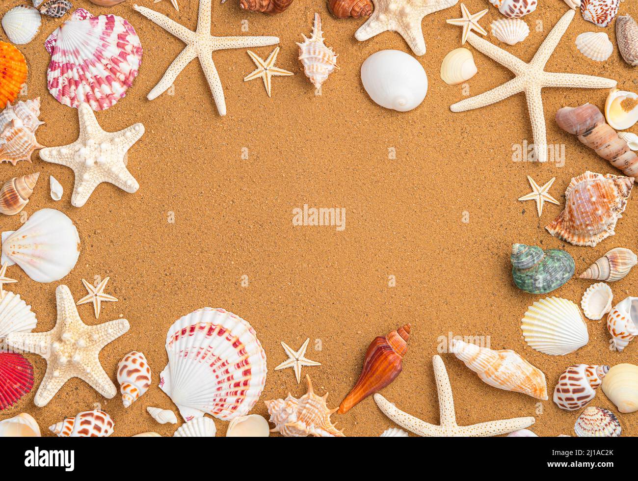 Hintergrund mit Muscheln und Sand. Verschiedene Arten von Muscheln auf dem Sand. Draufsicht, horizontal. Stockfoto