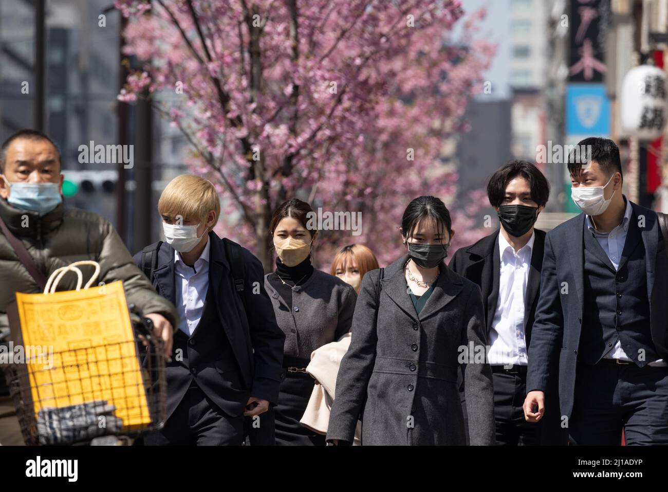 Tokio, Japan. 24. März 2022. Fußgänger werden gesehen, wie sie im Hintergrund der Kirschbäume am Fluss Meguro spazieren gehen. Die traditionelle japanische Kirschblütensaison in Tokio beginnt am 28. März 2022. Einige Sakura-Bäume begannen bereits zu blühen. Kredit: SOPA Images Limited/Alamy Live Nachrichten Stockfoto