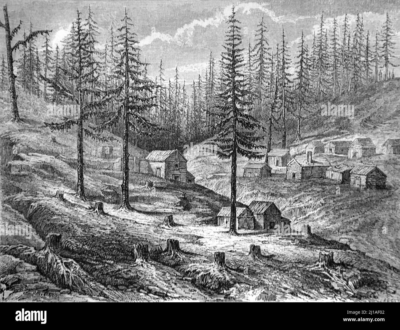 Holzeinschlag, Wald, Forstwirtschaft und Blockhütten in Grass Valley California in der Sierra Nevada Mountain Range USA, USA oder Vereinigte Staaten von Amerika. Illustration oder Gravur 1860. Stockfoto