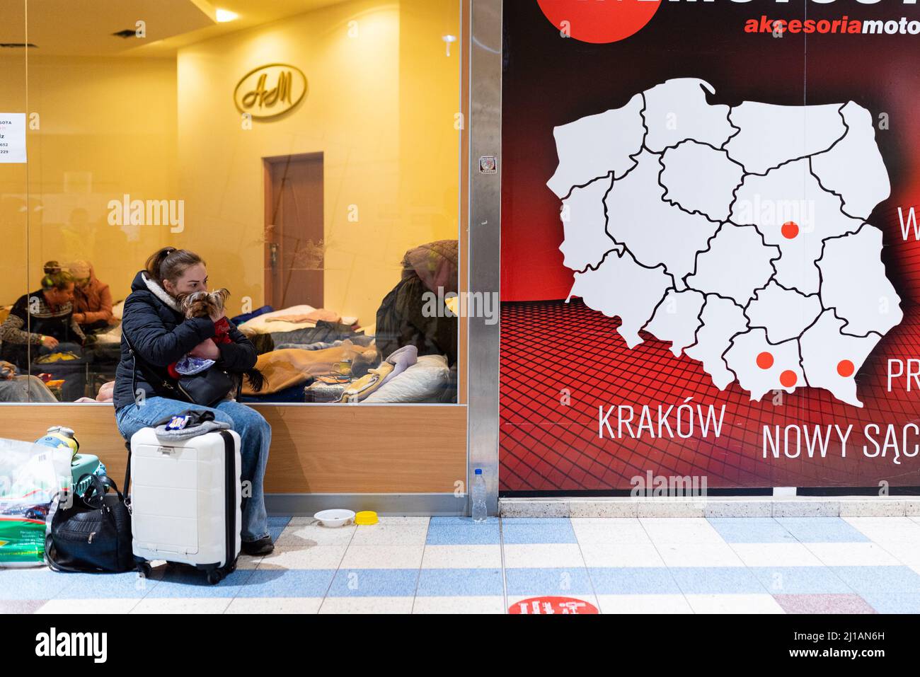 Eine Frau mit ihrem Hund und einem Koffer sitzt in der Nähe einer Landkarte von Polen, während Flüchtlinge aus der Ukraine in einem Einkaufszentrum, das zu einem Flüchtlingslager wurde, auf der Suche nach Sh gesehen werden Stockfoto