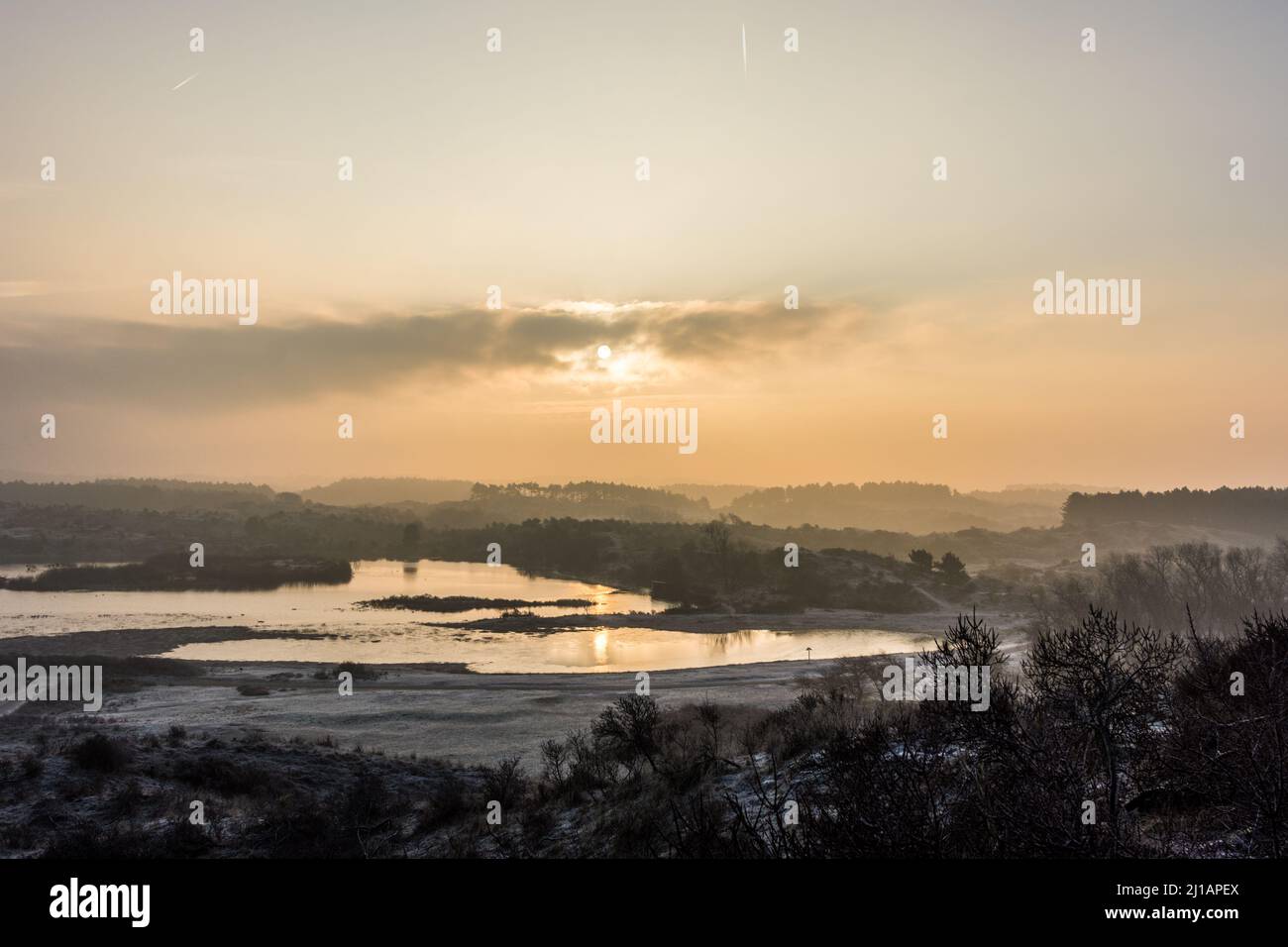 Wintersonnengang in den niederländischen Dünen Stockfoto