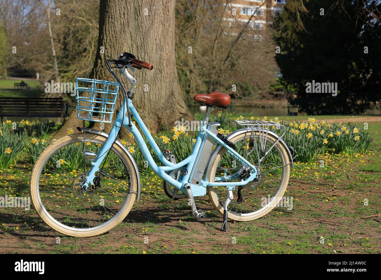 Klassische holländische Schritt-durch-Stil-Elektrofahrrad, umweltfreundlich und nachhaltig überall hin zu transportieren in schöner Parkumgebung mit Frühlingsblumen Stockfoto