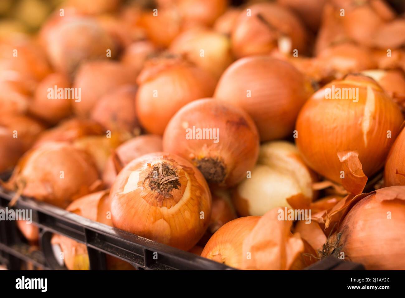 Zwiebel in Korbkörben auf der Markttheke Stockfoto
