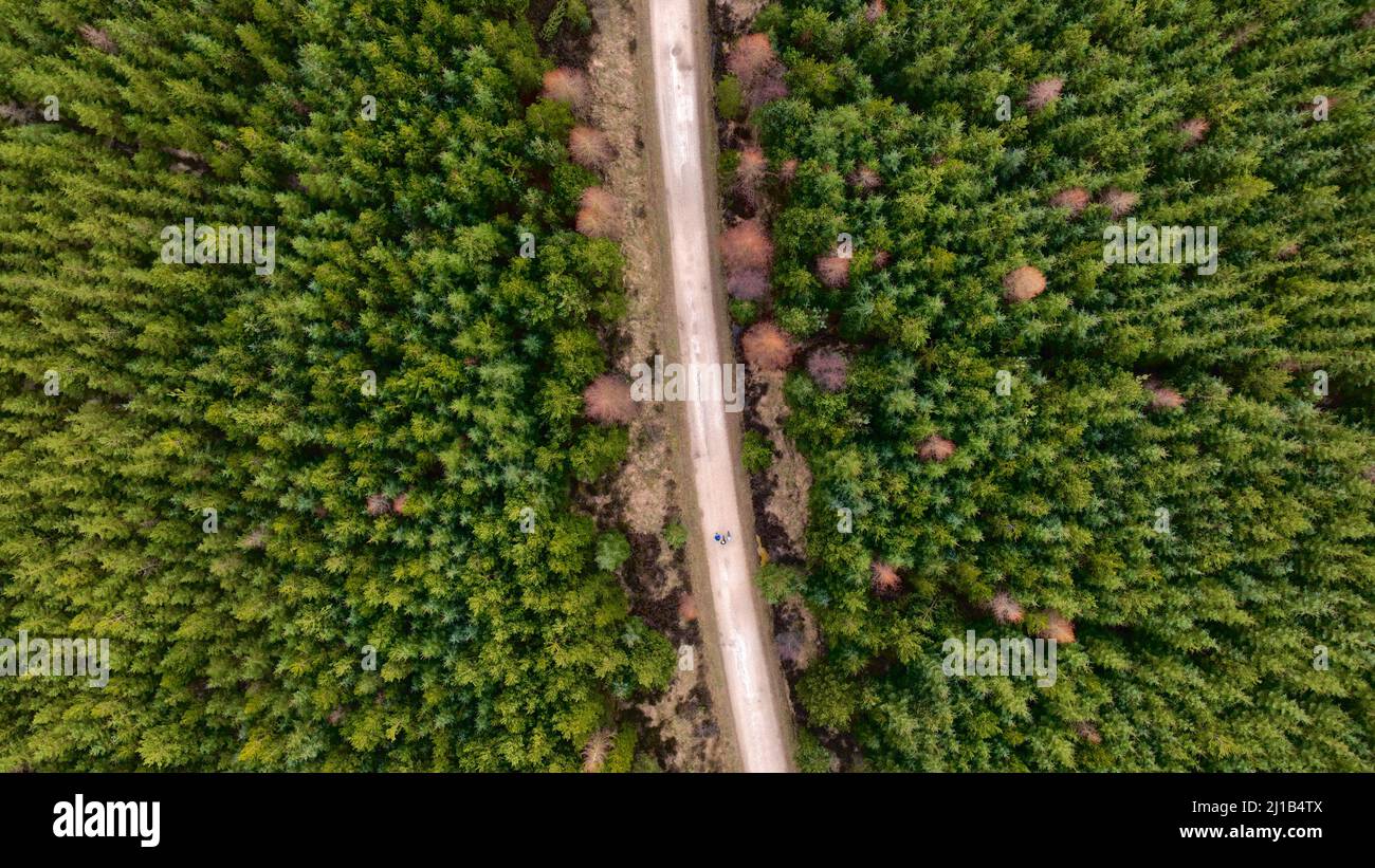 Die Luftdrohne schoss eine Straße mitten im Stainburn Forest, Leeds, England Stockfoto