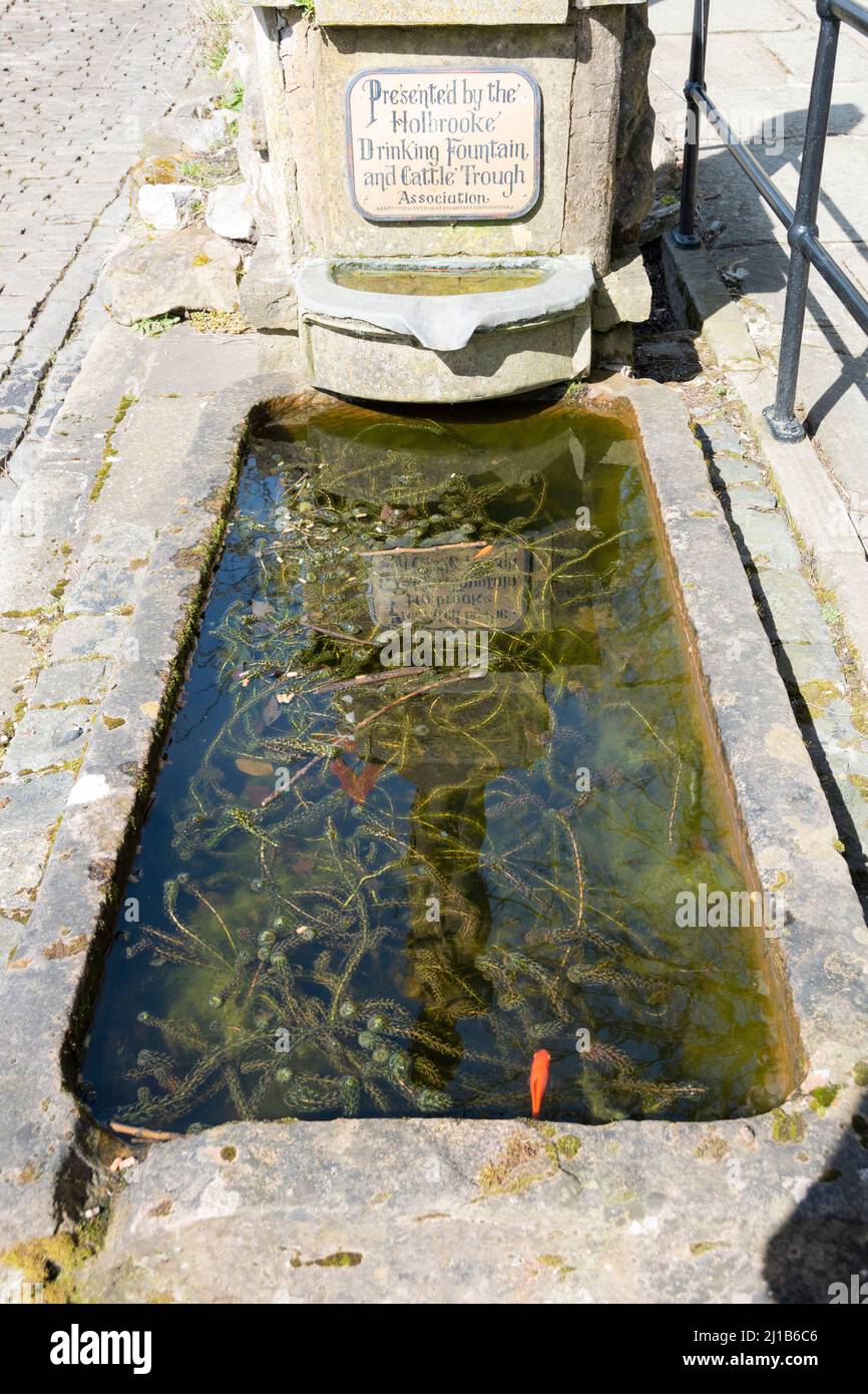 Derbyshire, Großbritannien – 5. April 2018: Holbrooke Trinkbrunnen und Rinderrinne die Association Stone Trough diente einem Goldfischteich in der Croich Tramway Vill Stockfoto