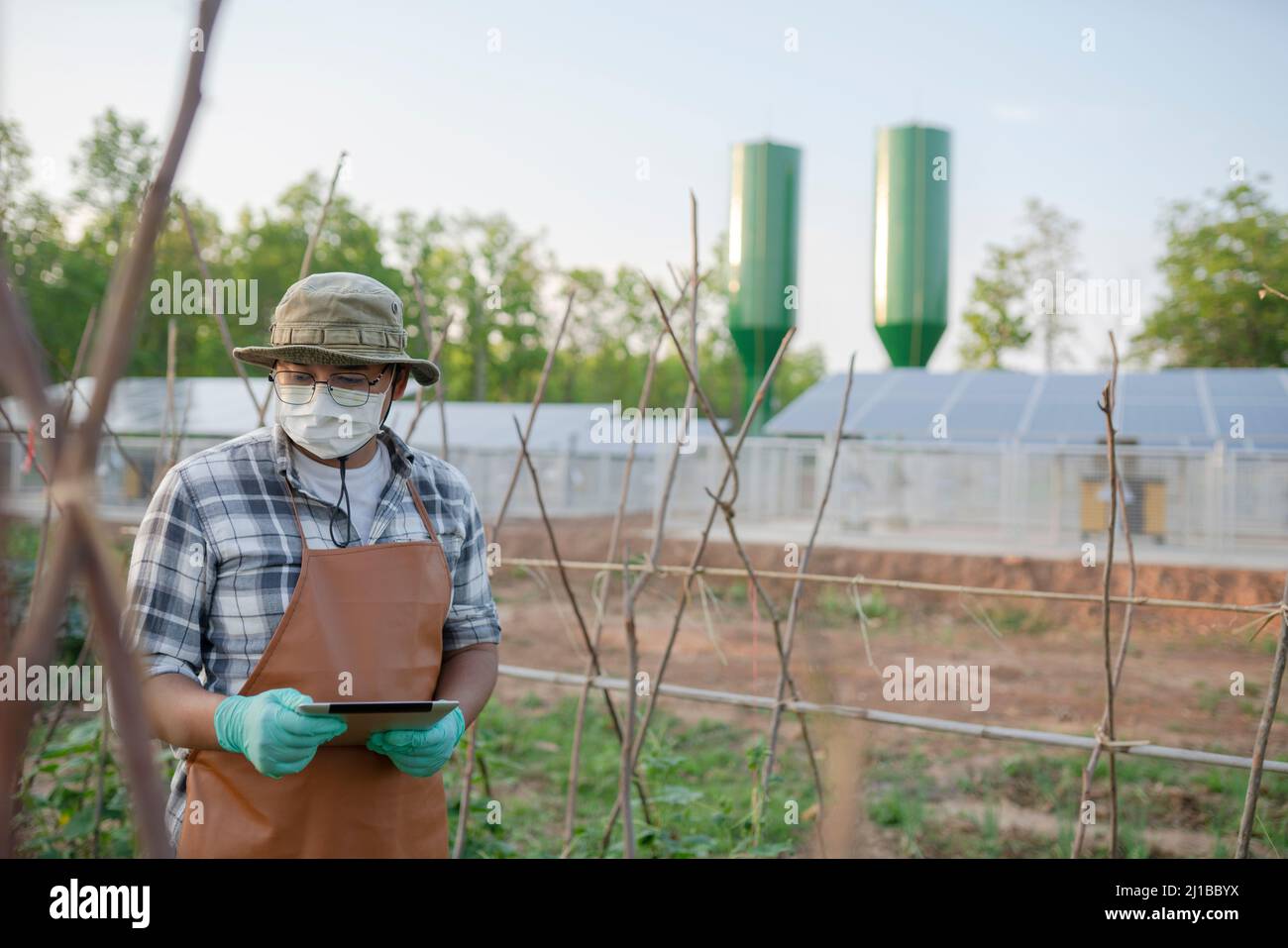 Junge Bauern forschen und nutzen erneuerbare Energien, um ihr Bio-Gemüse anzubauen. Stockfoto