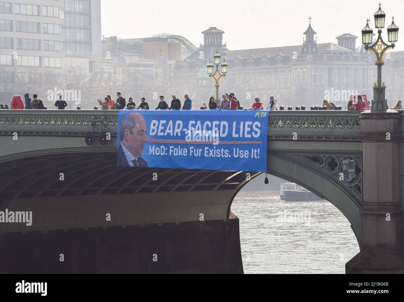 London, Großbritannien. 24.. März 2022. PETA-Aktivisten hängten ein riesiges Banner an der Westminster Bridge auf, in dem sie das Verteidigungsministerium und Verteidigungsminister Ben Wallace aufriefen, weil sie die Öffentlichkeit über die Eignung von Bärenfellfellfellbesatz für die Kappen der Queen’s Guards und das Töten von Bären für die Kappen irregeführt haben. Derzeit verwendet die MOD echtes Bärenpelz, um die Kappen zu machen, und es braucht einen Bären, um nur eine Kappe zu machen. PETA half bei der Entwicklung einer geeigneten Kunstpelzalternative, die die MOD bisher nicht verwendet hat. Kredit: Vuk Valcic/Alamy Live Nachrichten Stockfoto