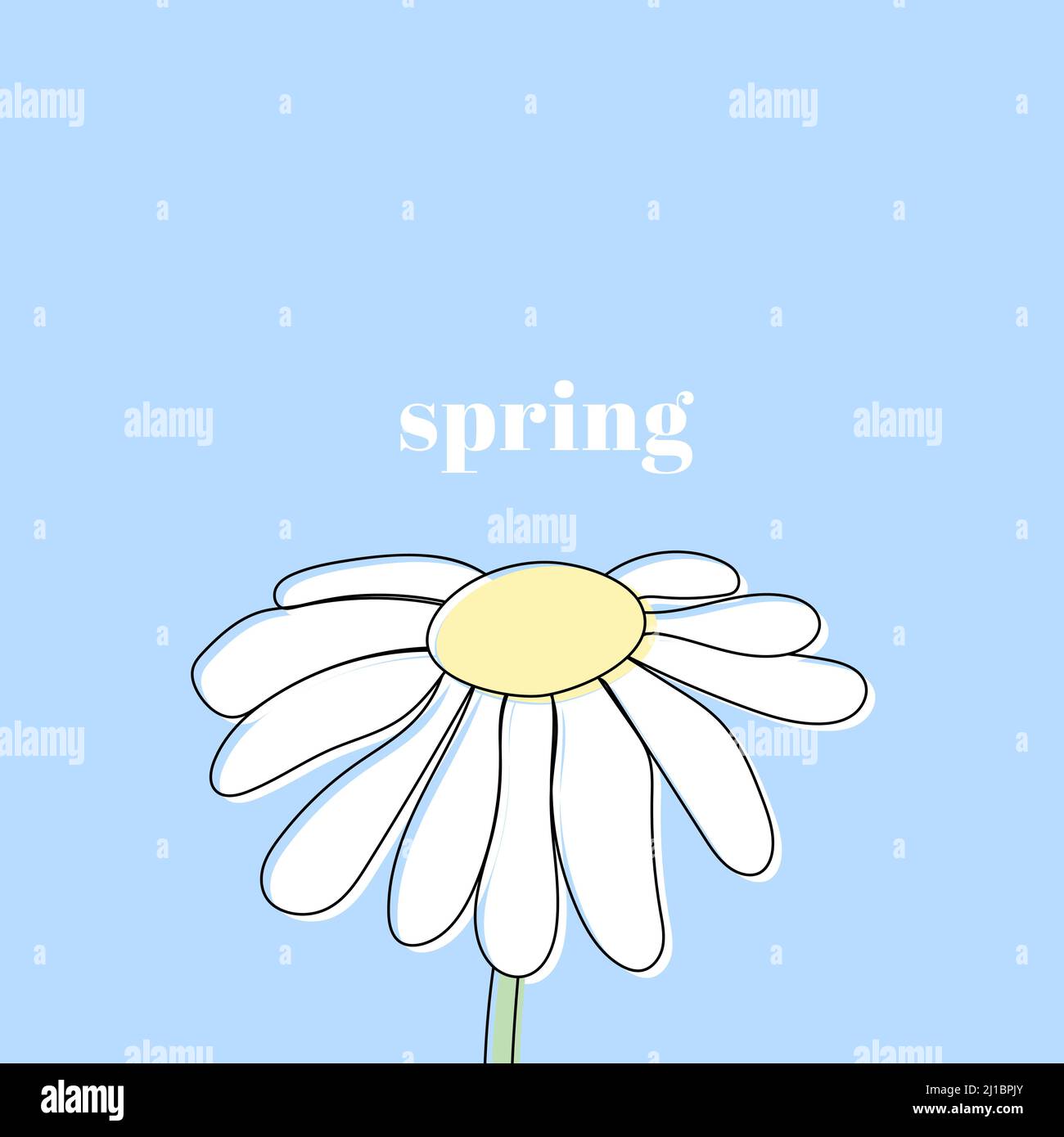 Schwarze umrandete Gänseblümchen-Blume mit blauem Hintergrund. Federtext. Vektorgrafik, flaches Design Stock Vektor