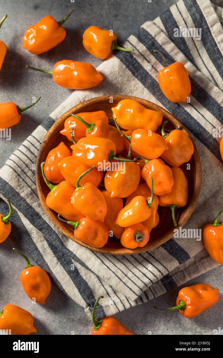 Würzige rohe Bio-Habanero-Paprika in einer Schüssel Stockfoto