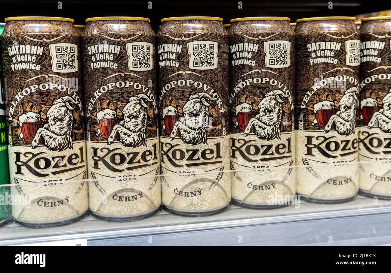 Samara, Russland - 17. März 2022: Velkopovicky Kozel alkoholisches Dosenbier im Regal im Supermarkt. Verschiedene abgefüllte alkoholische Getränke und Spirituosen Stockfoto