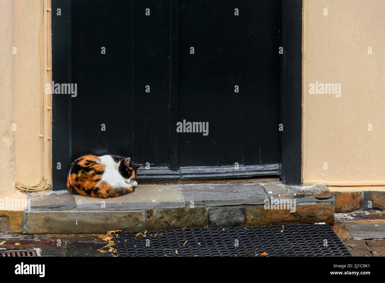 Eine Calico-Katze kuschelt sich und schläft auf einer Steintreppe vor einer schwarzen Tür in Athen, Griechenland. Stockfoto