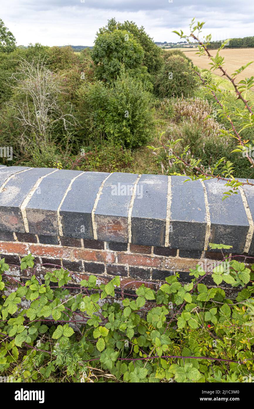 Brombeeren wachsen auf einer Brücke über die stillgediente Banbury und Cheltenham Direct Railway Linie in der Nähe von Kingham, Oxfordshire, England Stockfoto